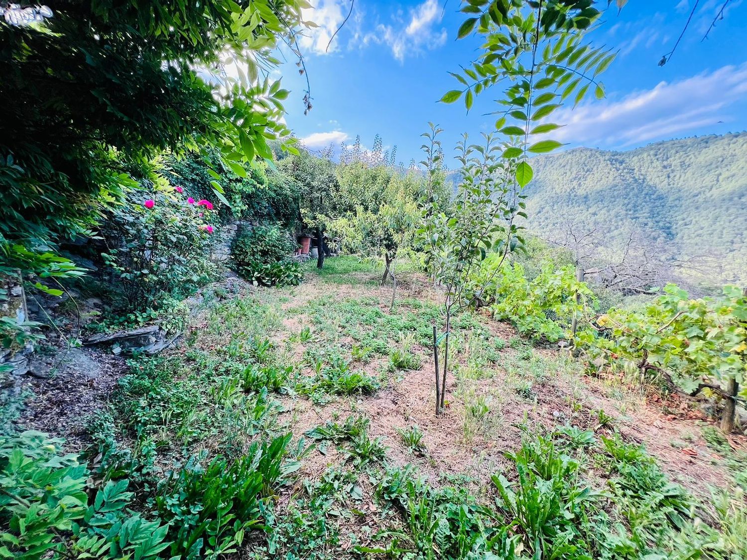 Casa singola in vendita a Prel