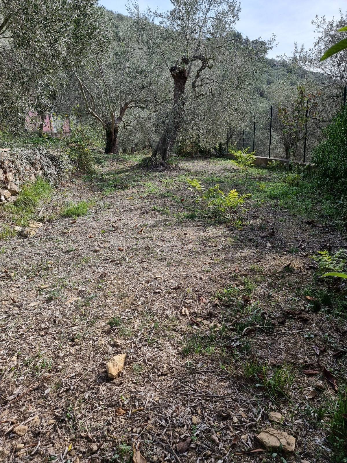 Villa in vendita a Imperia