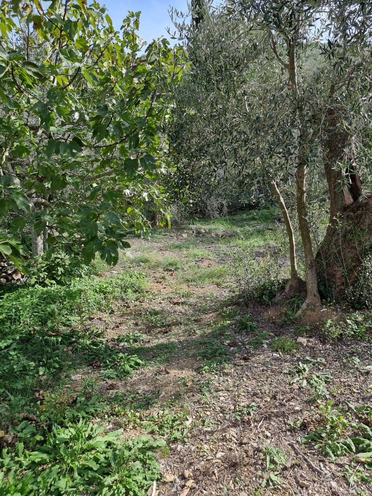 Villa in vendita a Imperia
