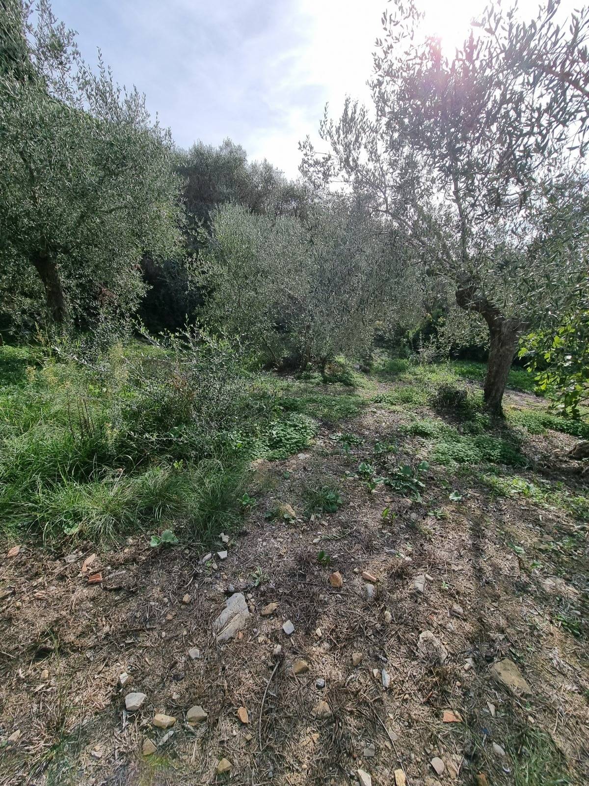 Villa in vendita a Imperia