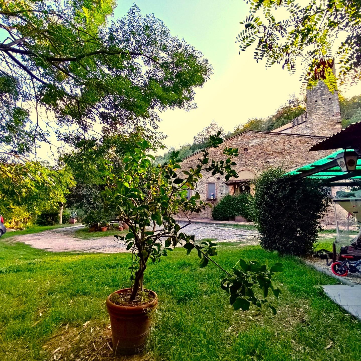 Rustico con giardino a Vicopisano