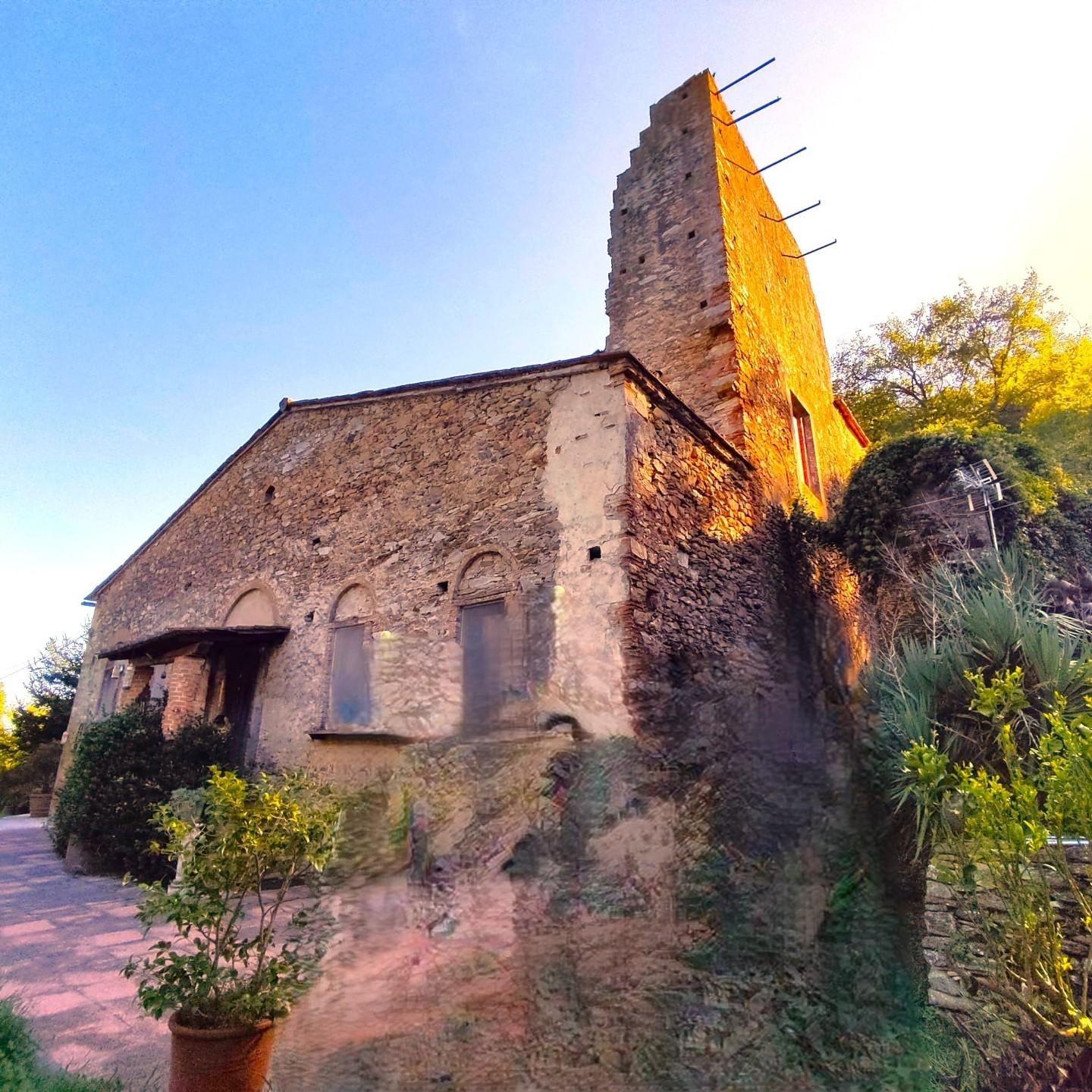Rustico con giardino a Vicopisano