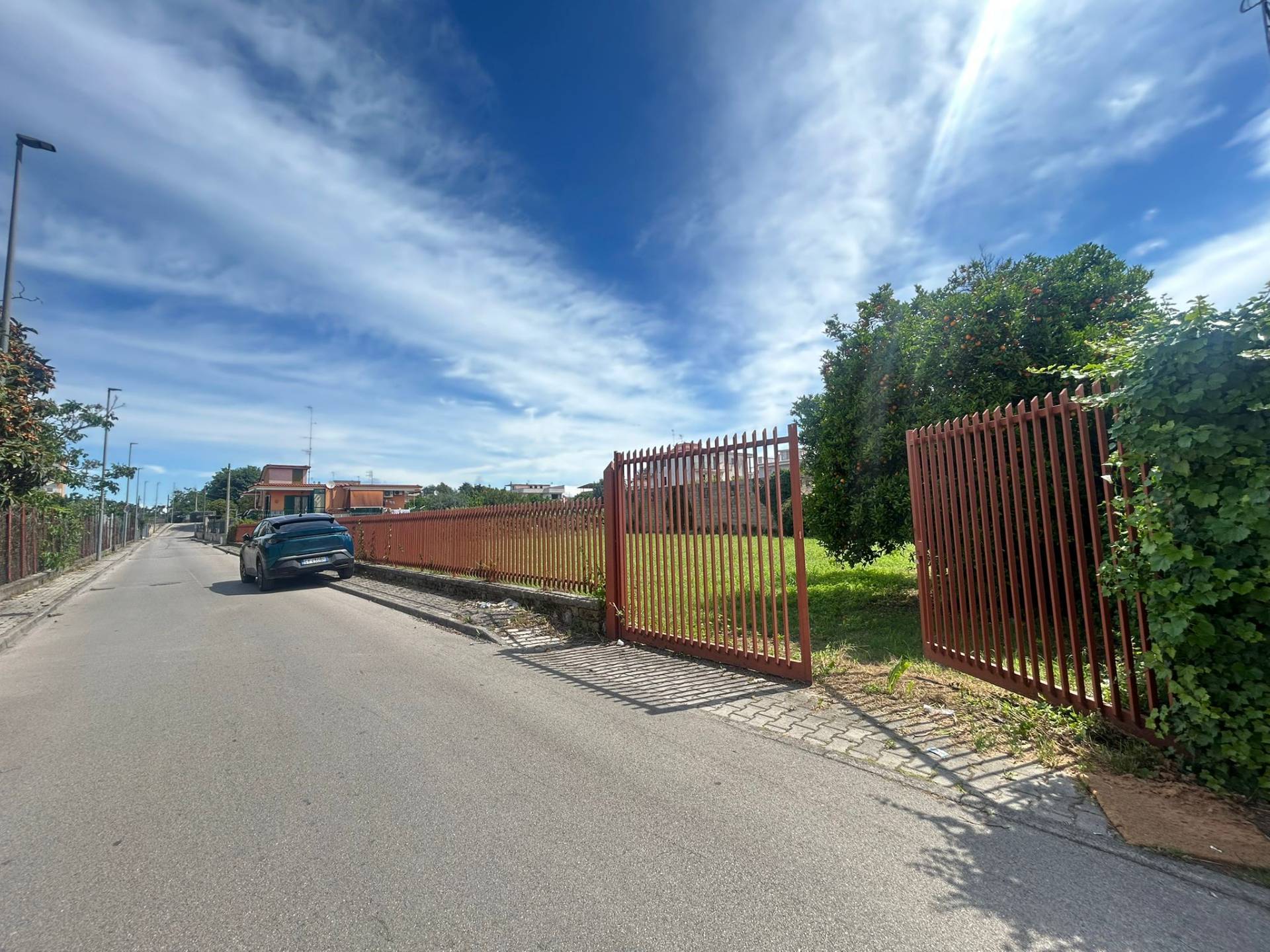 Terreno Agricolo in affitto a Casalnuovo di Napoli