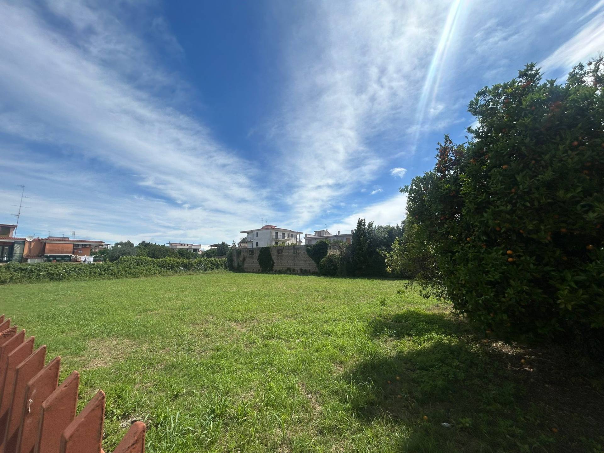 Terreno Agricolo in affitto a Casalnuovo di Napoli