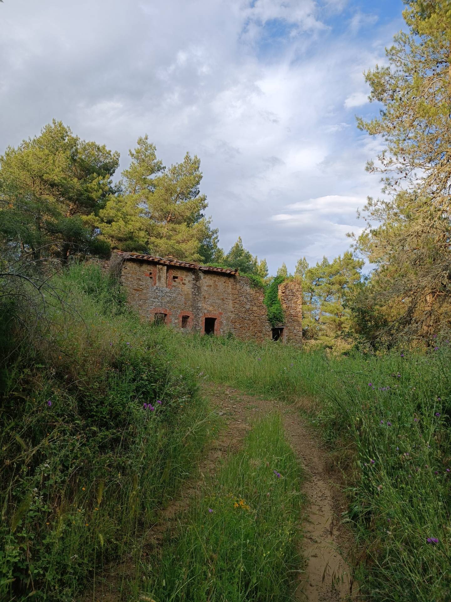 Rustico in vendita a Piegaro