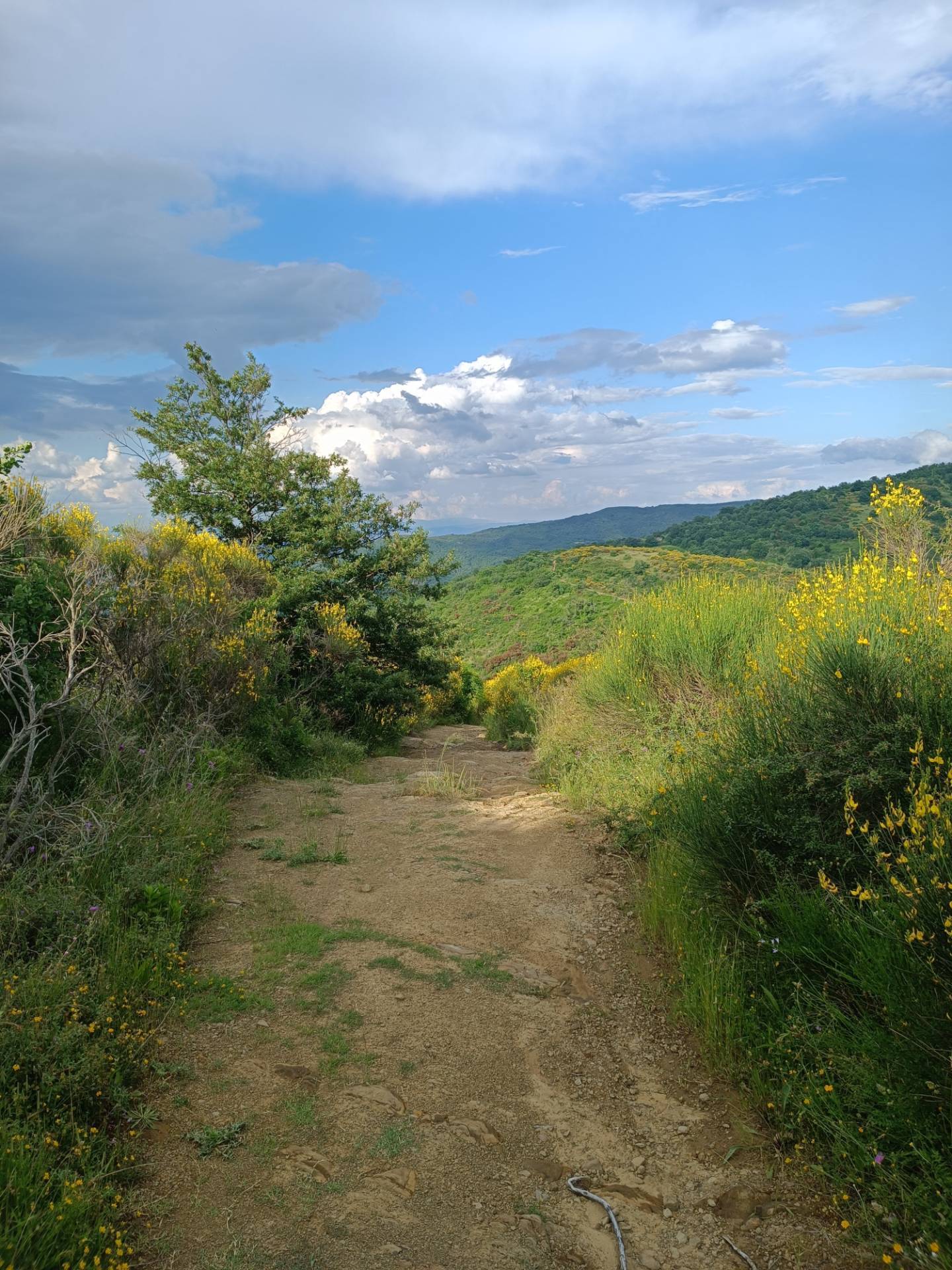 Rustico in vendita a Piegaro