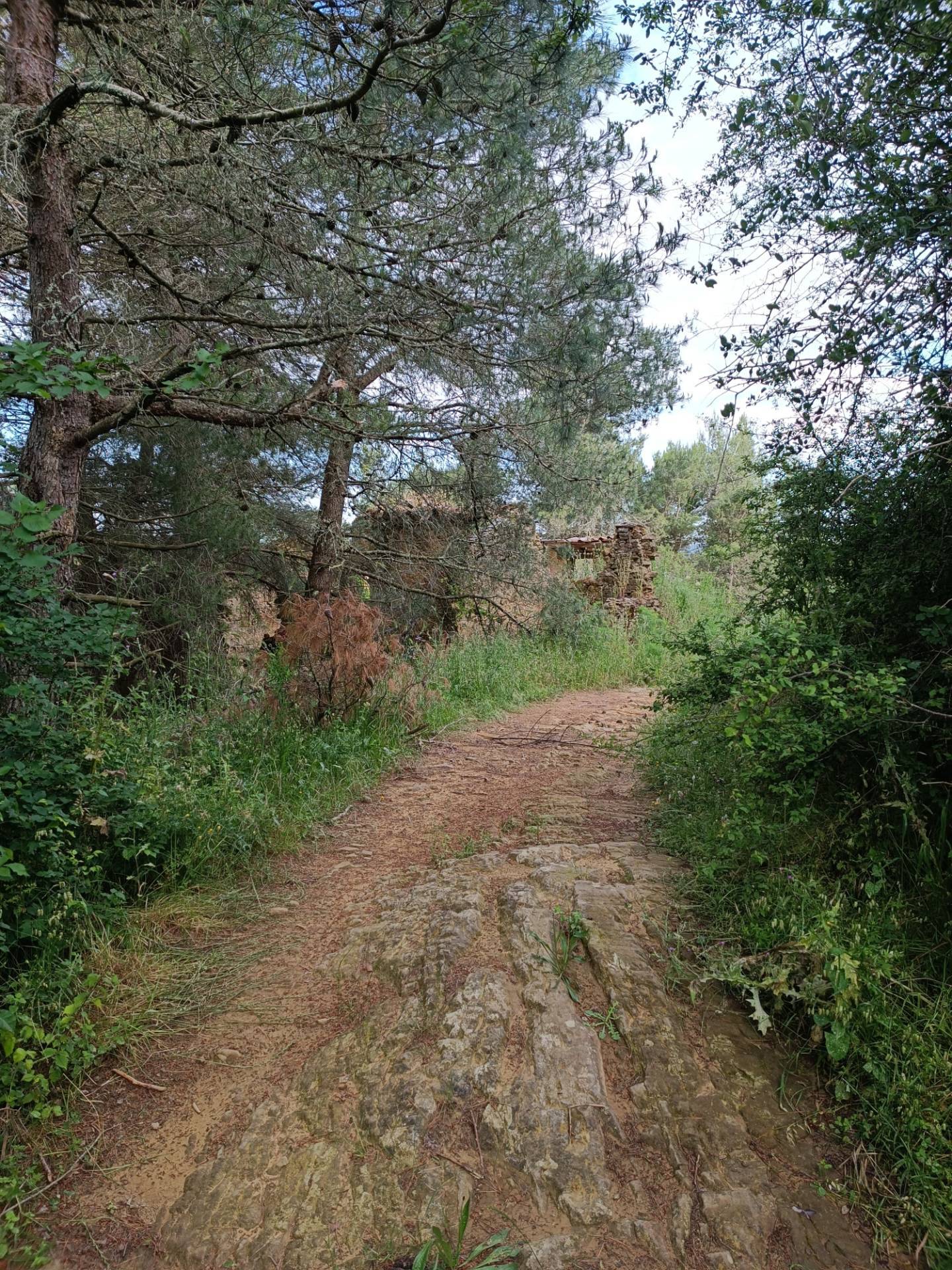 Rustico in vendita a Piegaro