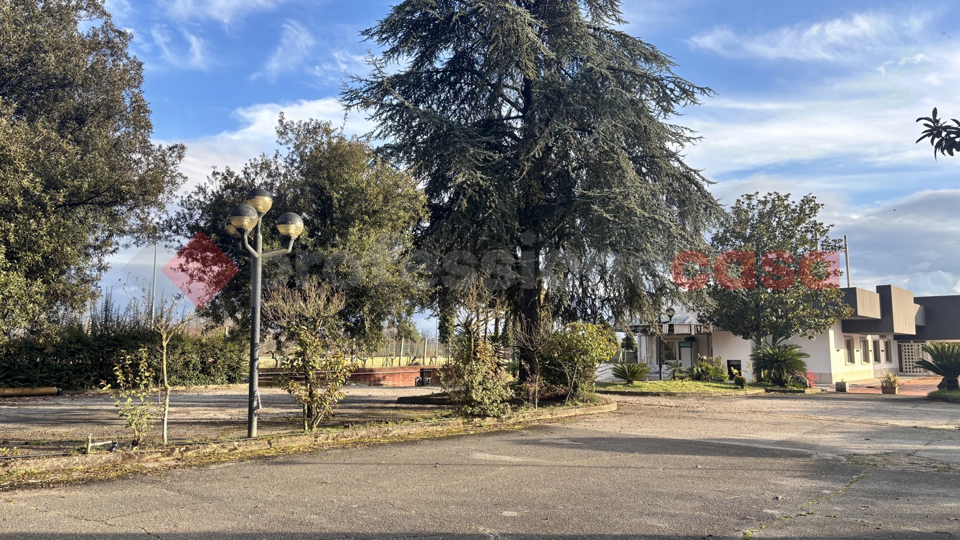 Negozio in affitto a Alatri