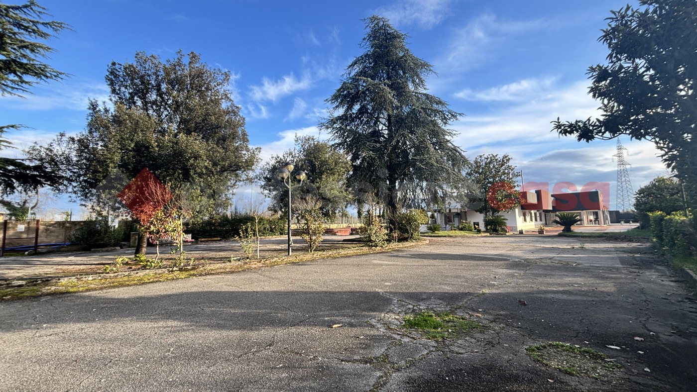 Negozio in affitto a Alatri