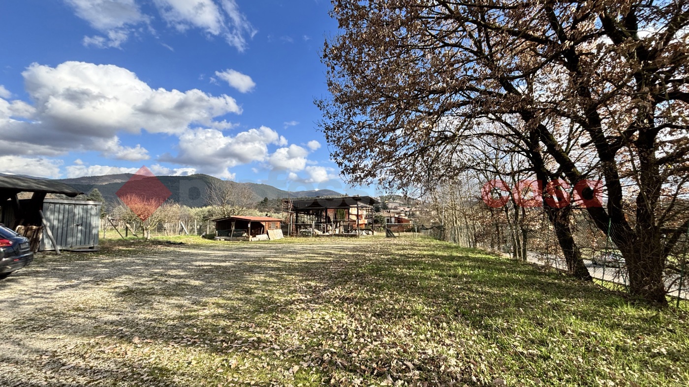 Terreno Agricolo in vendita a Alatri