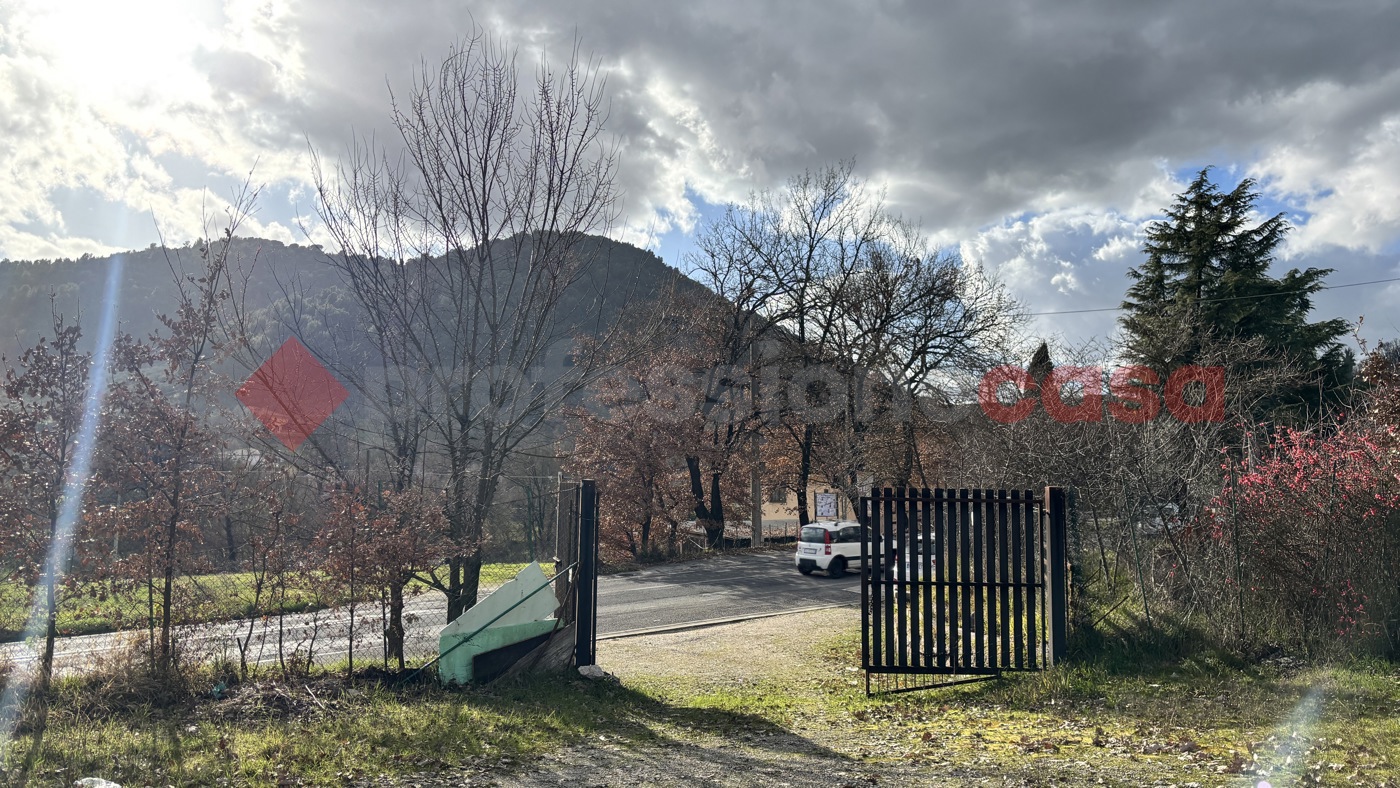 Terreno Agricolo in vendita a Alatri