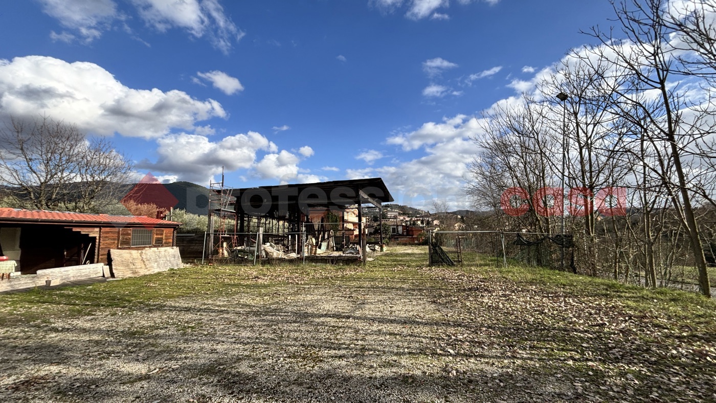 Terreno Agricolo in vendita a Alatri