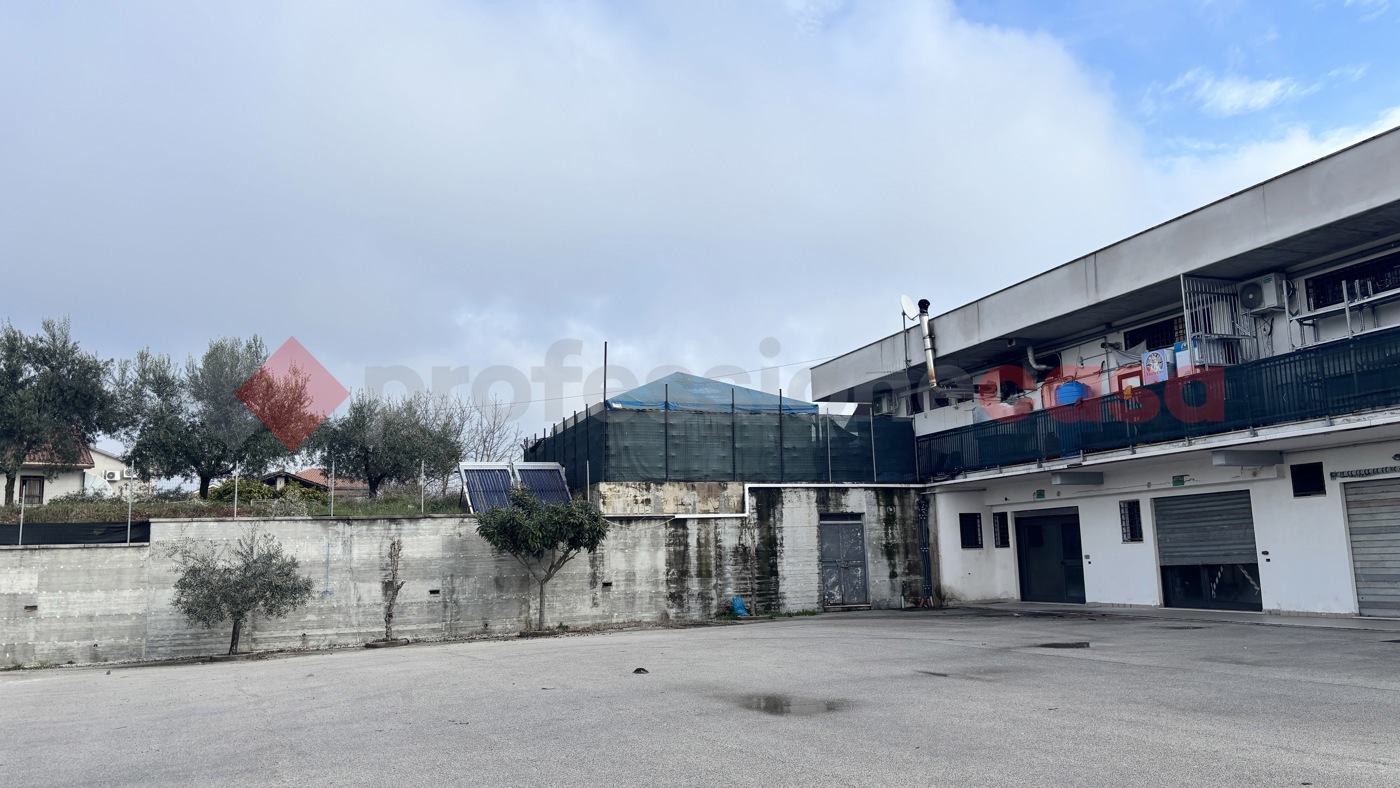 Negozio in affitto a Alatri