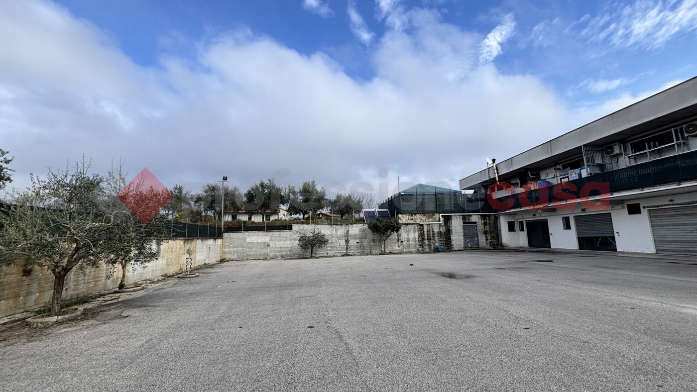 Negozio in affitto a Alatri