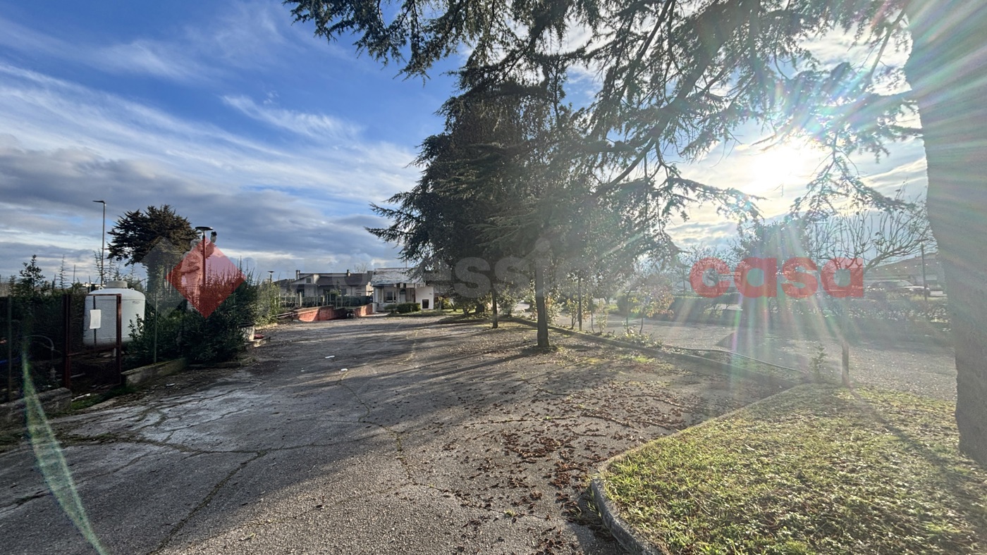 Negozio in affitto a Alatri