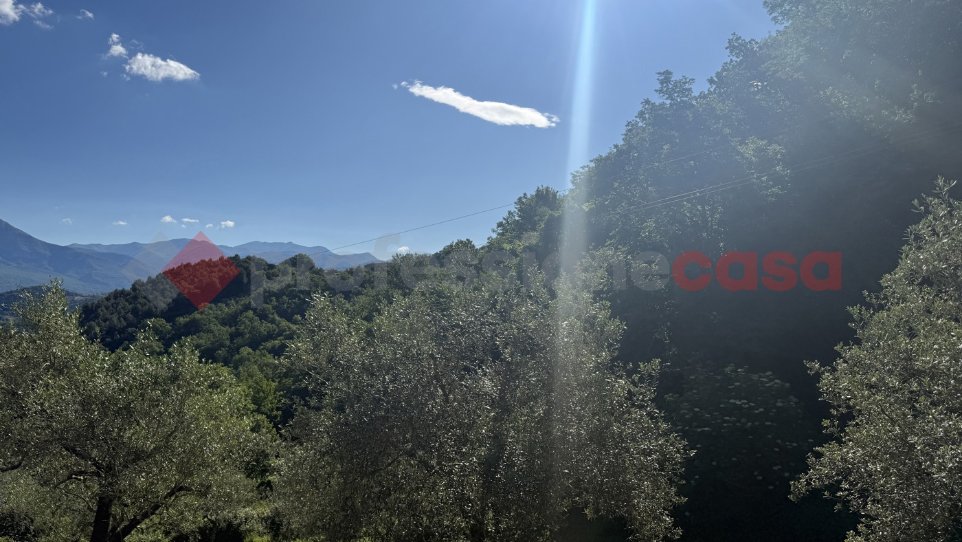 Terreno Agricolo in vendita a Fumone