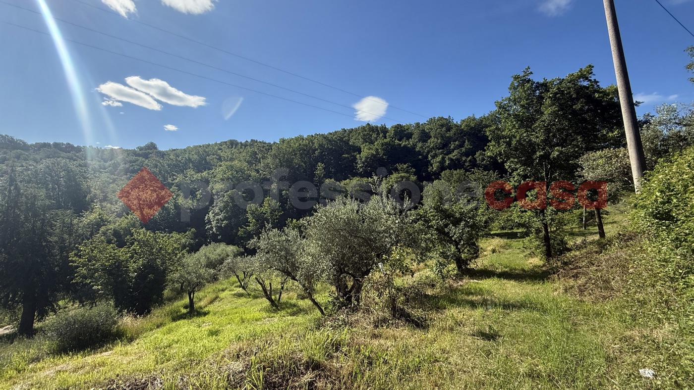 Terreno Agricolo in vendita a Fumone