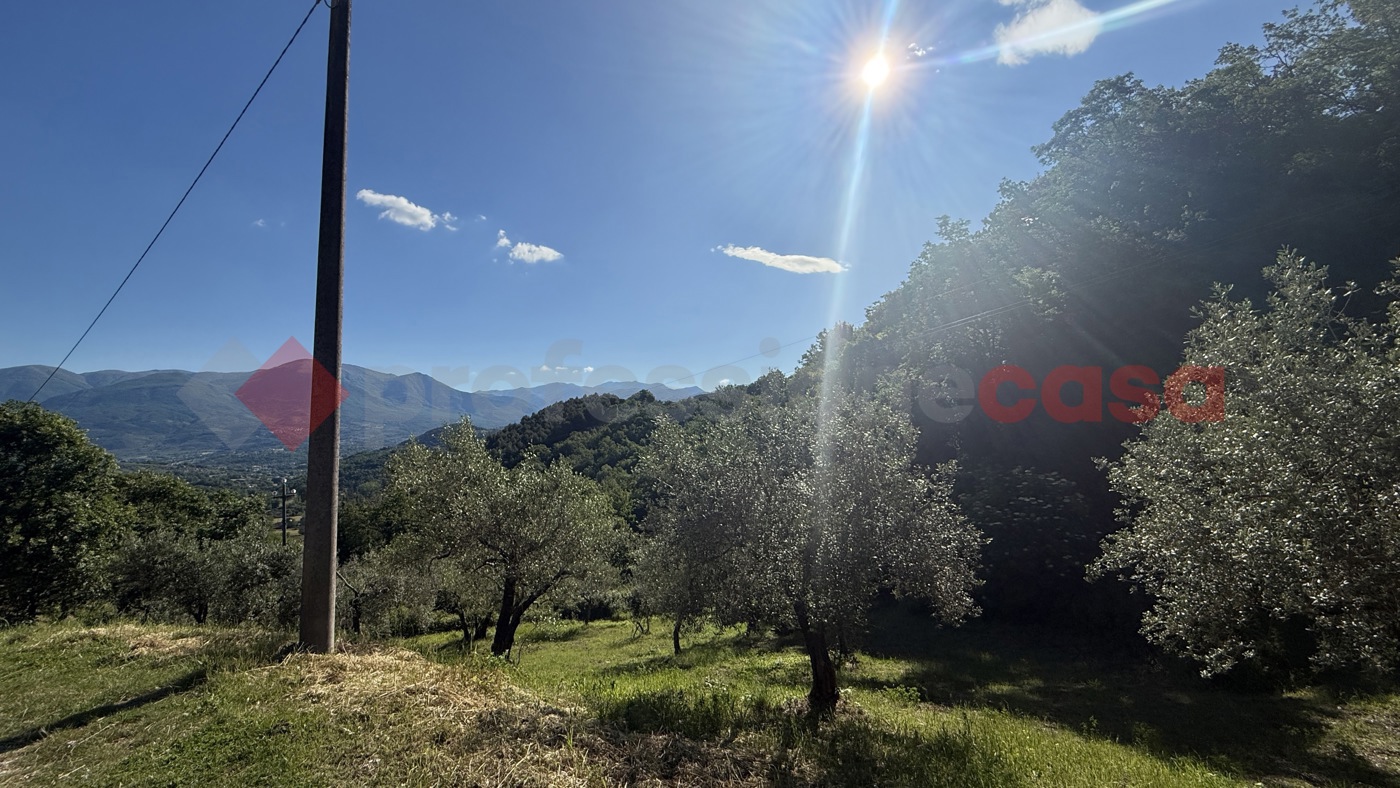 Terreno Agricolo in vendita a Fumone