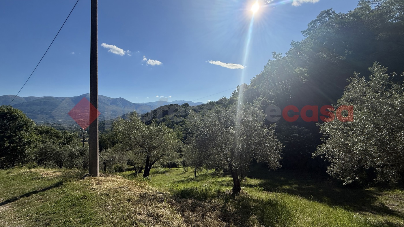 Terreno Agricolo in vendita a Fumone