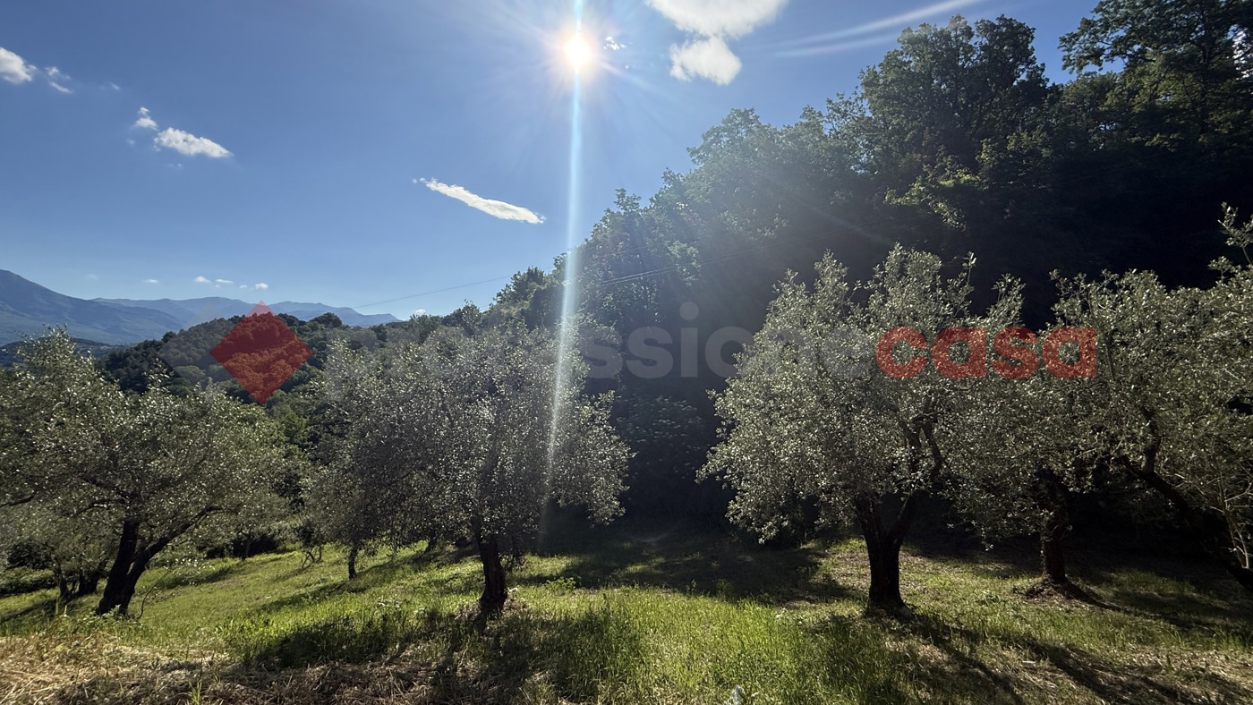 Terreno Agricolo in vendita a Fumone