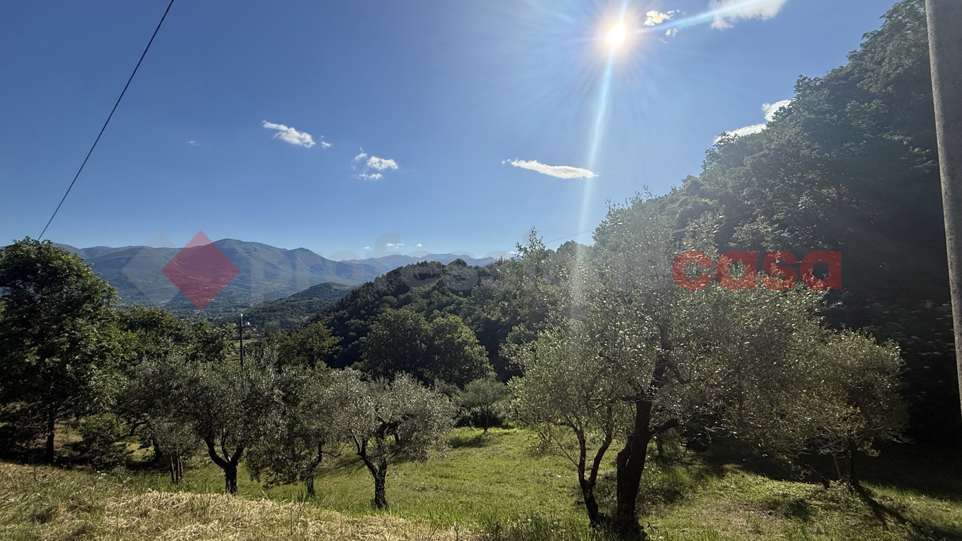 Terreno Agricolo in vendita a Fumone