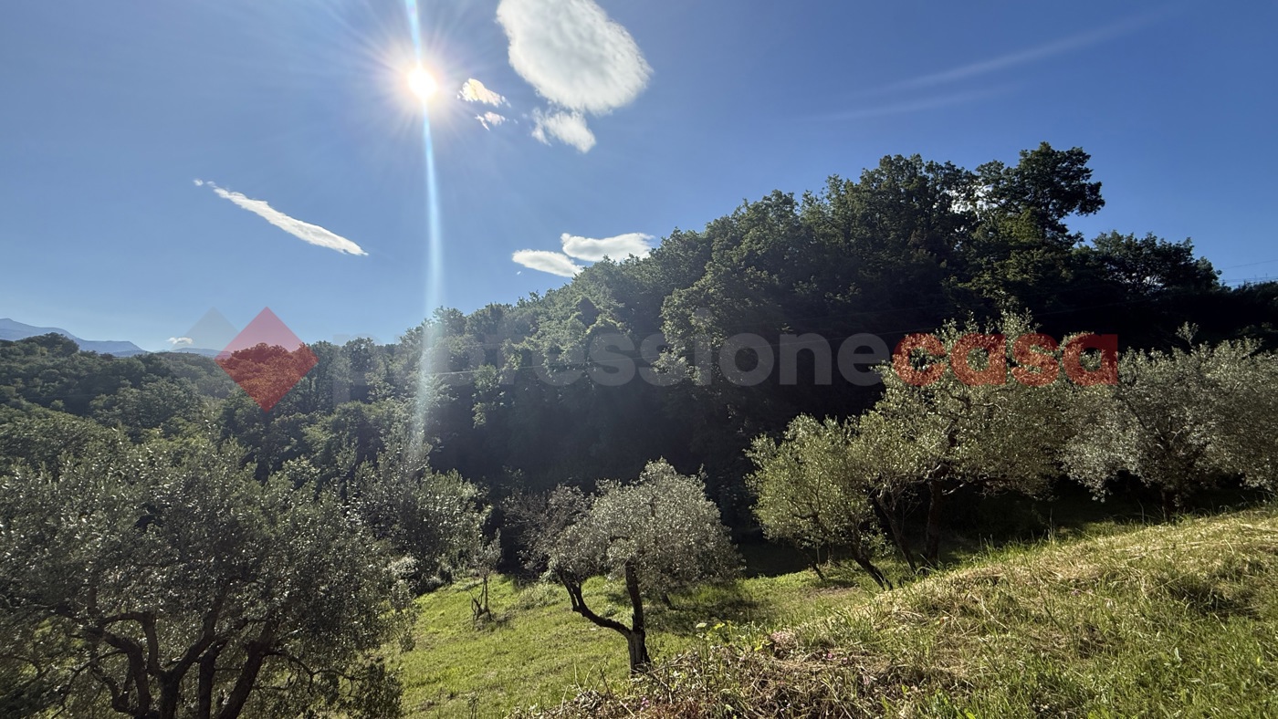 Terreno Agricolo in vendita a Fumone
