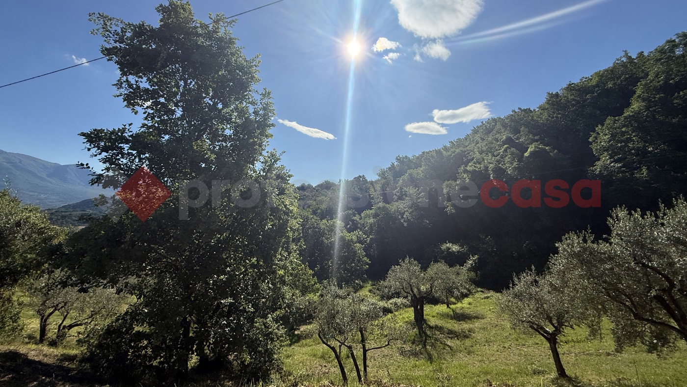 Terreno Agricolo in vendita a Fumone