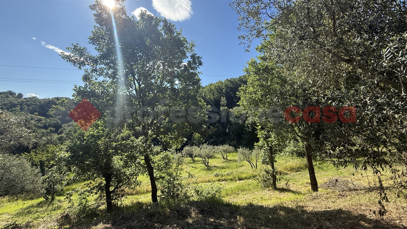 Terreno Agricolo in vendita a Fumone