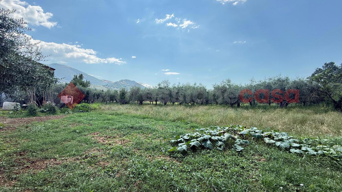 Casa indipendente con giardino a Alatri
