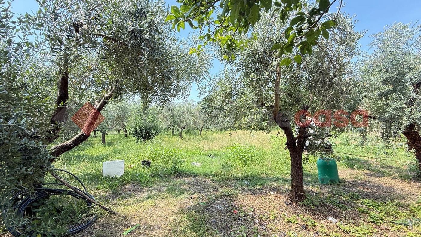 Casa indipendente con giardino a Alatri
