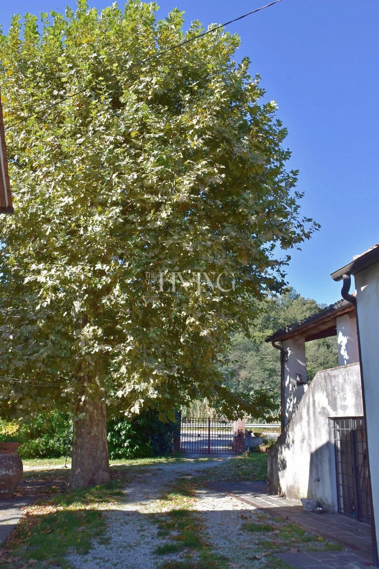 Rustico con giardino, Lucca cappella