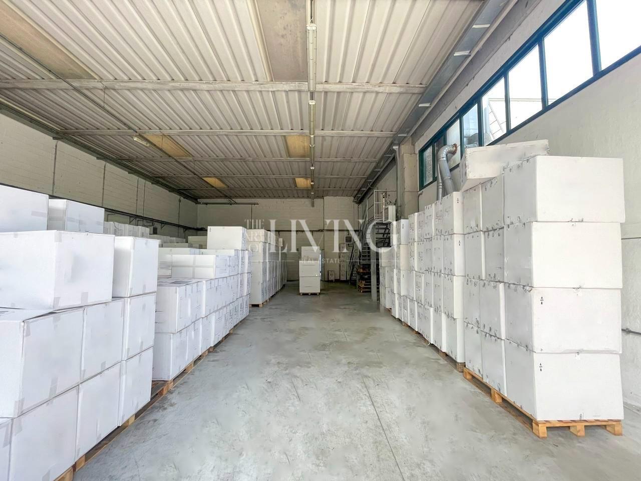 Capannone in vendita a Gallicano