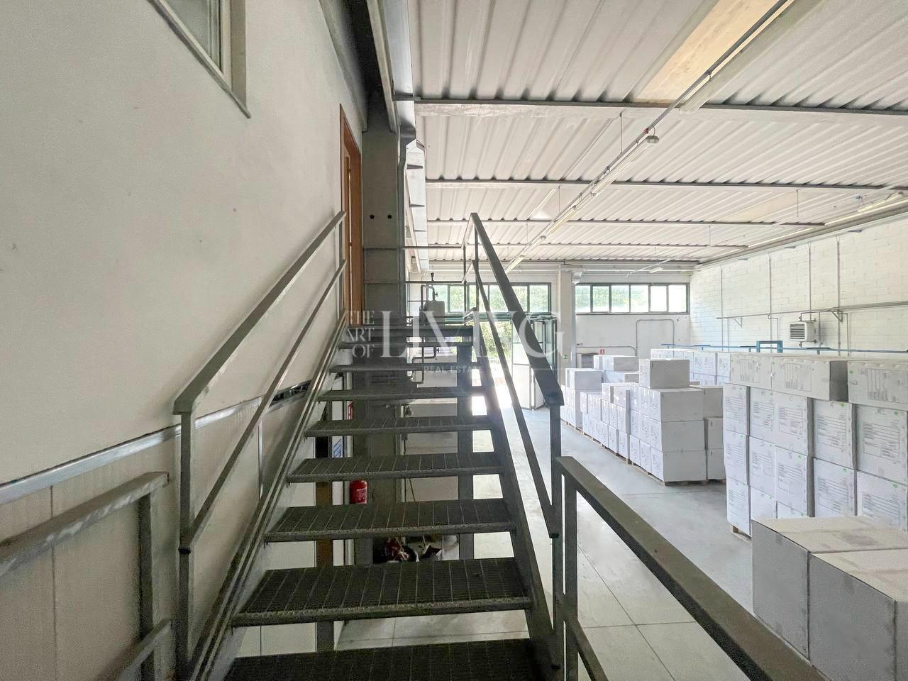 Capannone in vendita a Gallicano