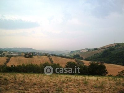 Terreno in vendita a Controguerra