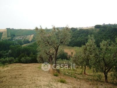 Terreno in vendita a Controguerra