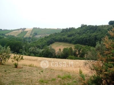 Terreno in vendita a Controguerra