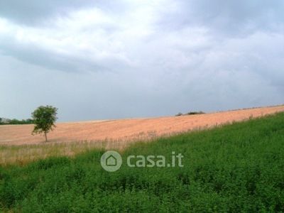 Terreno in vendita a Controguerra
