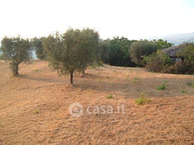 Terreno in vendita a Controguerra