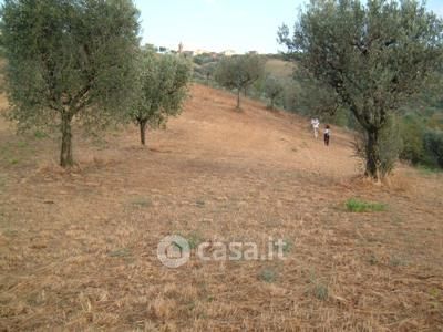 Terreno in vendita a Controguerra