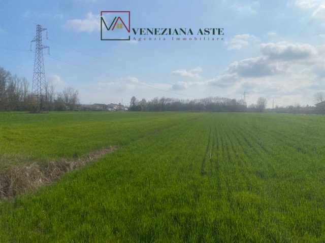 Terreno in vendita a Quarto d'Altino