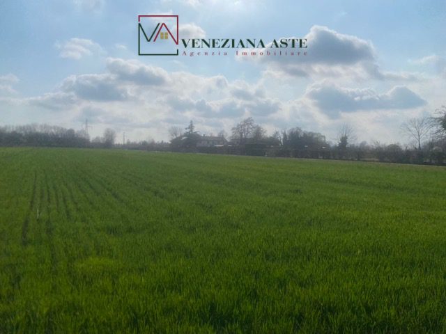 Terreno in vendita a Quarto d'Altino