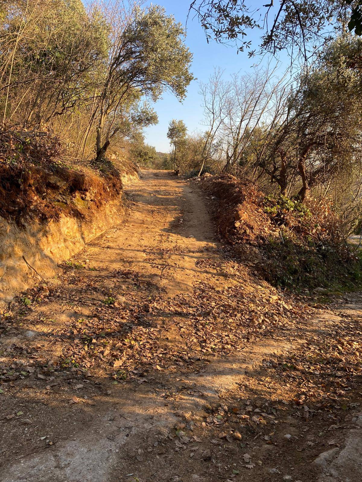Terreno Agricolo in vendita a Verona, Quinzano