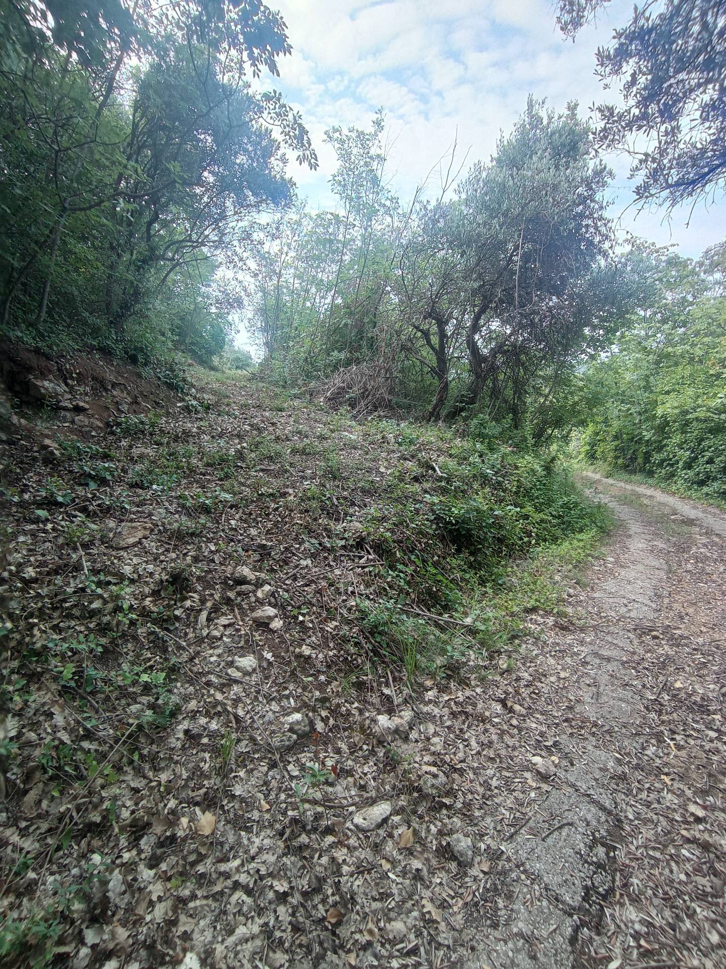 Terreno Agricolo in vendita a Verona, Quinzano
