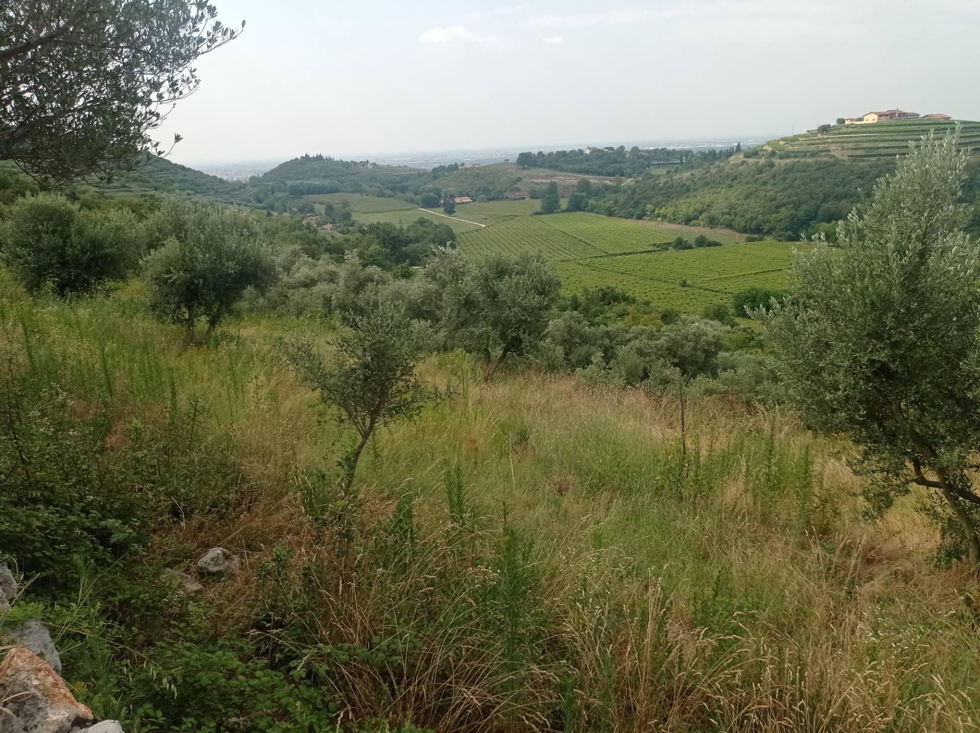 Terreno Agricolo in vendita a Verona, Quinzano