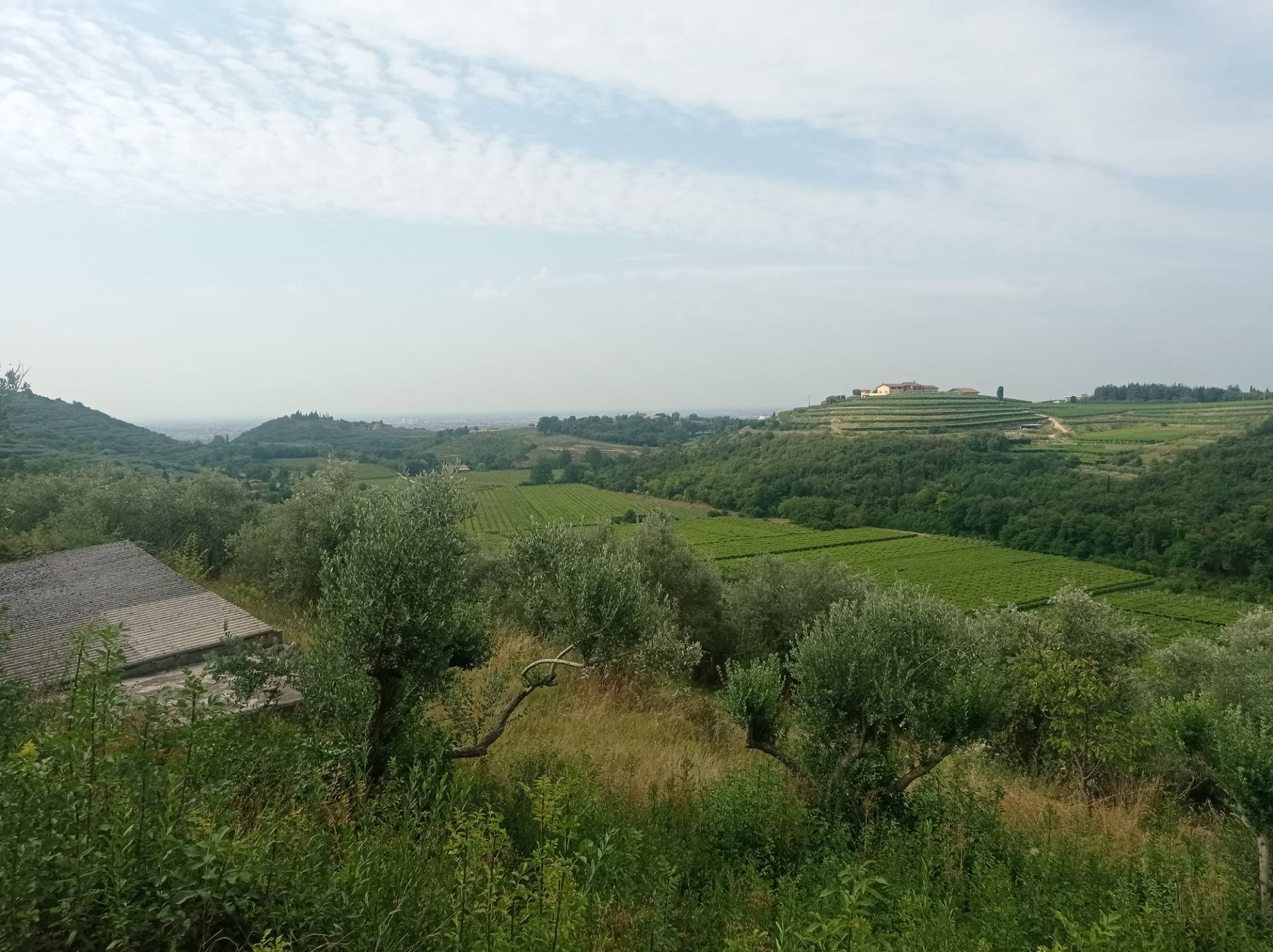 Terreno Agricolo in vendita a Verona, Quinzano