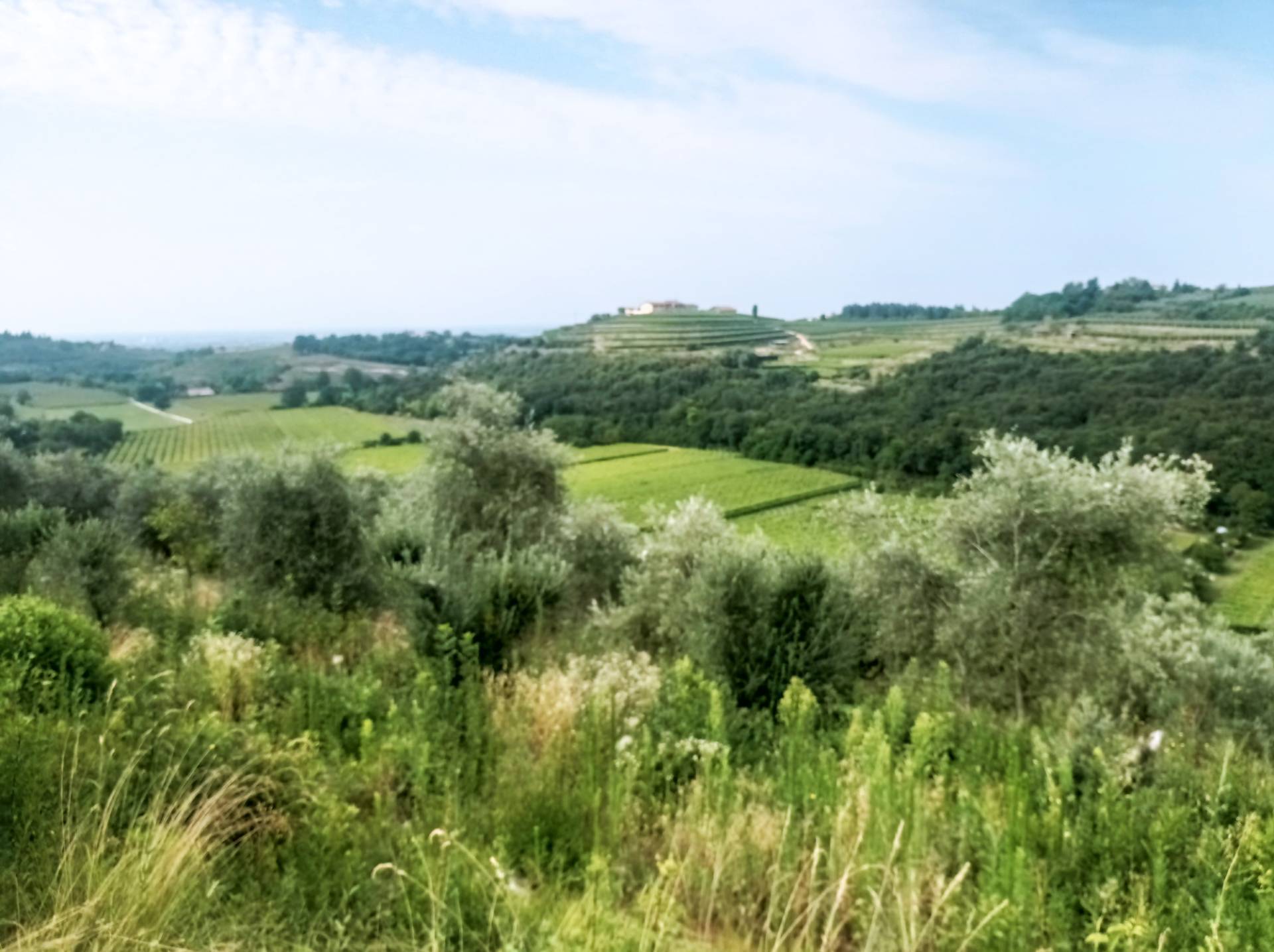 Terreno Agricolo in vendita a Verona, Quinzano