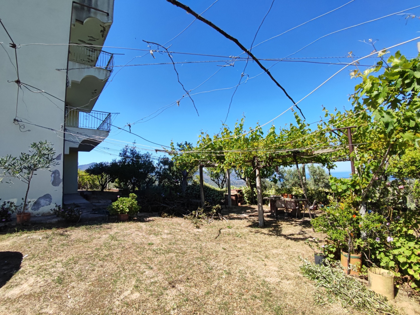 Stabile/Palazzo in vendita a Davoli