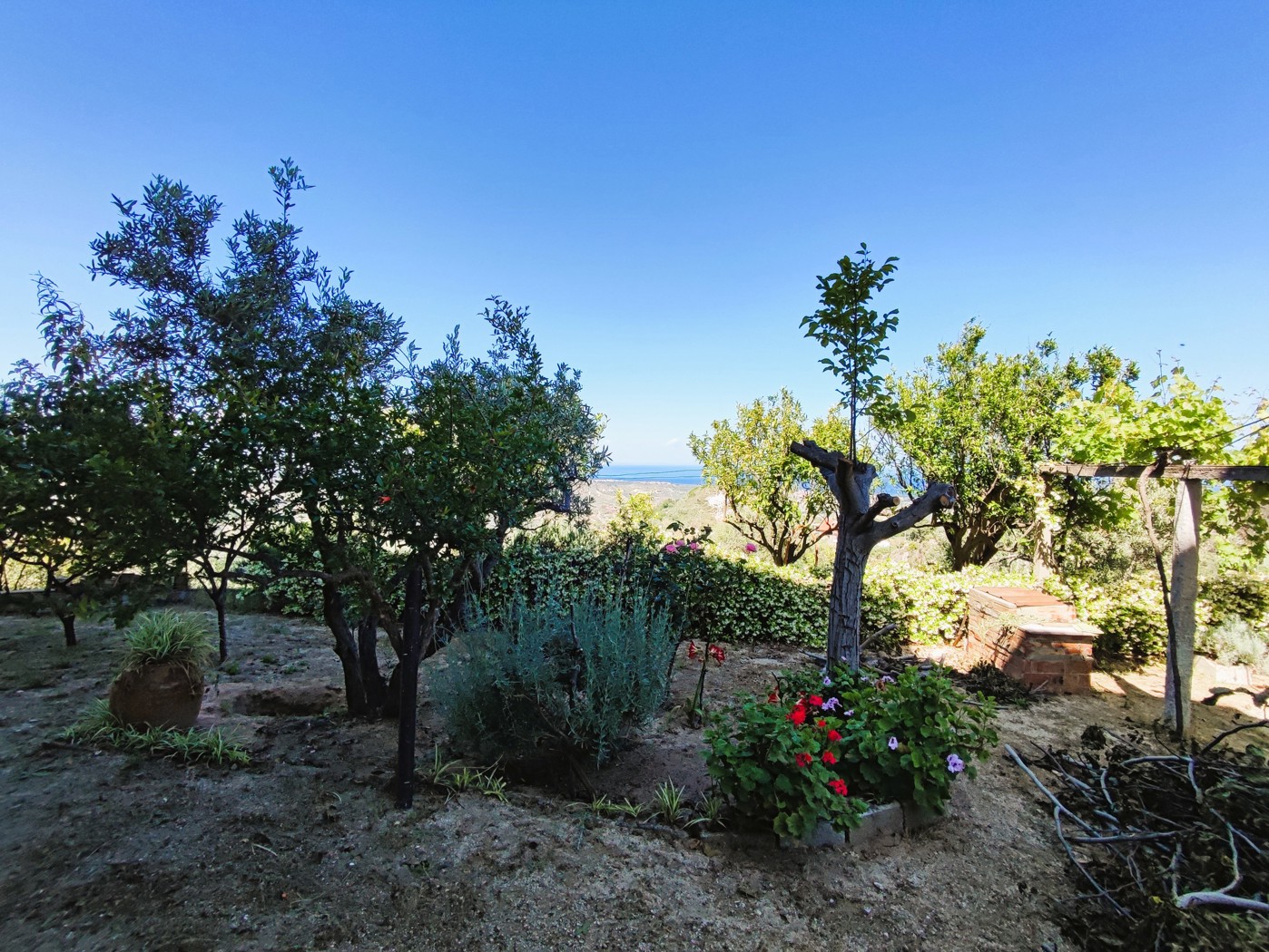 Stabile/Palazzo in vendita a Davoli