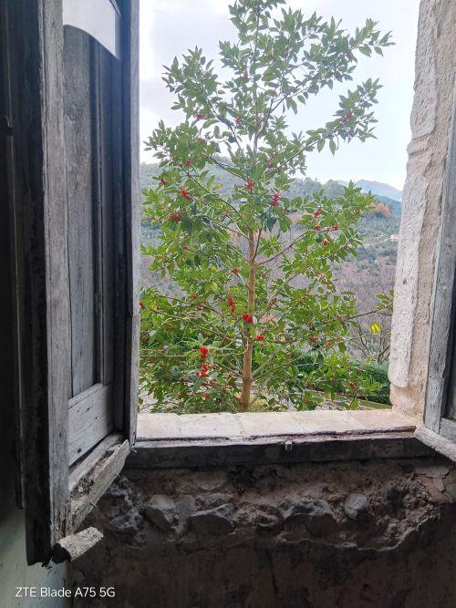 Appartamento da ristrutturare, Montefranco centro storico