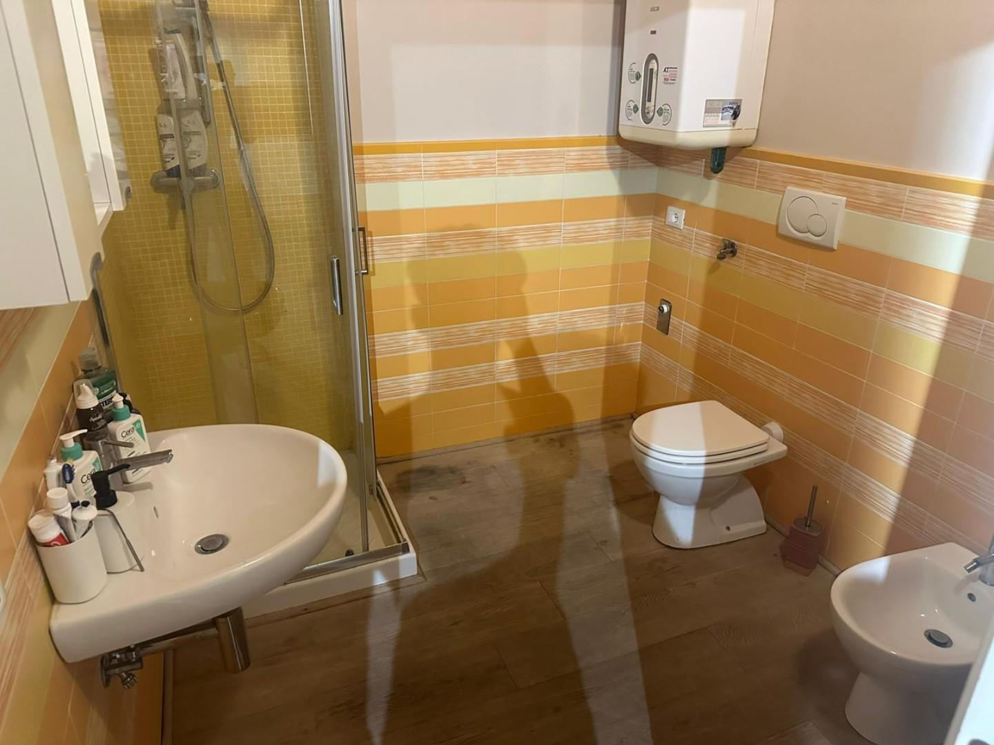 Attico arredato in affitto, Capannori lunata